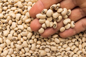 Cow Peas (Black Eyed Peas) from Uganda